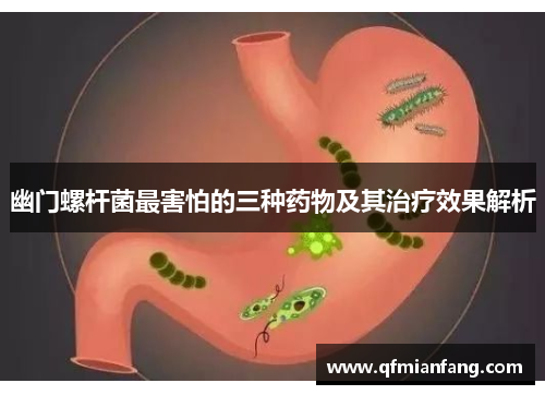 幽门螺杆菌最害怕的三种药物及其治疗效果解析