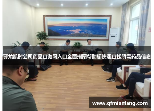 尊龙凯时公司药品查询网入口全面指南帮助您快速查找所需药品信息