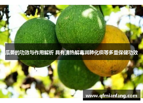 瓜蒌的功效与作用解析 具有清热解毒润肺化痰等多重保健功效