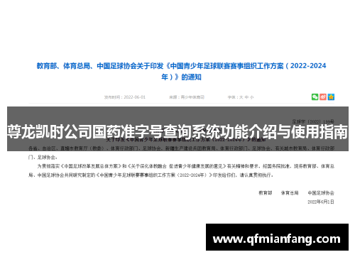 尊龙凯时公司国药准字号查询系统功能介绍与使用指南