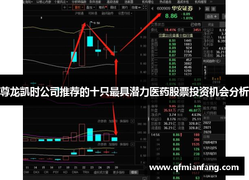 尊龙凯时公司推荐的十只最具潜力医药股票投资机会分析